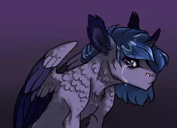 Size: 1024x741 | Tagged: safe, artist:biakela, derpibooru import, oc, oc:hex, unofficial characters only, alicorn, pony, alicorn oc, chest fluff, colored wings, crying, ear fluff, gradient background, magical lesbian spawn, offspring, parent:princess luna, parent:twilight sparkle, parents:twiluna, solo