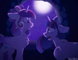 Size: 1024x790 | Tagged: safe, artist:leviostars, derpibooru import, princess cadance, twilight sparkle, twilight sparkle (alicorn), alicorn, pony, alternate hairstyle, chest fluff, crying, cutie mark, duo, female, jewelry, looking at each other, mare, moon, night, open mouth, regalia, sad, stars, window