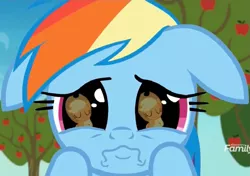 Size: 1023x720 | Tagged: safe, derpibooru import, screencap, applejack, rainbow dash, earth pony, pegasus, pony, grannies gone wild, apple tree, close-up, cropped, cute, daaaaaaaaaaaw, dashabetes, discovery family logo, female, floppy ears, hnnng, mare, puppy dog eyes, rainbow dash is best facemaker, reflection, sad, sadorable, tree, wavy mouth, weapons-grade cute, wide eyes