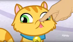 Size: 1594x930 | Tagged: safe, derpibooru import, edit, edited screencap, screencap, derp cat, cat, grannies gone wild, boop, boop edit, derp, finger, hand, tongue out