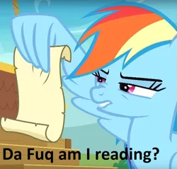 Size: 945x904 | Tagged: safe, derpibooru import, edit, edited screencap, screencap, rainbow dash, pegasus, pony, grannies gone wild, confused, cropped, meme, rainbow dash reading a scroll, reaction image, reading, solo, text, vulgar, wing hands, wing hold, wtf