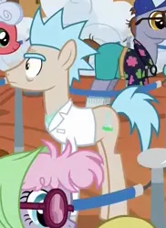 Size: 335x460 | Tagged: safe, derpibooru import, screencap, pony rick, ponified, earth pony, pony, grannies gone wild, clothes, cropped, glasses, lab coat, male, rick and morty, rick sanchez, solo focus, stallion