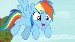 Size: 1920x1080 | Tagged: safe, derpibooru import, screencap, rainbow dash, pegasus, pony, grannies gone wild, apple tree, cute, dashabetes, discovery family logo, excited, female, flying, mare, solo, tree