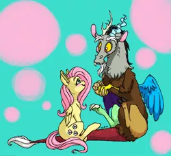 Size: 2048x1856 | Tagged: safe, artist:ameliacostanza, derpibooru import, discord, fluttershy, draconequus, pegasus, pony, blushing, cute, discoshy, discute, eye contact, female, looking at each other, male, mare, shipping, shyabetes, sitting, smiling, straight