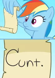 Size: 1140x1616 | Tagged: artist:saphire-systrine, cunt, derpibooru import, exploitable meme, grannies gone wild, meme, rainbow dash, rainbow dash reading a scroll, safe, vulgar, wing hands