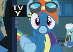 Size: 850x604 | Tagged: safe, derpibooru import, screencap, fleetfoot, rainbow dash, pegasus, pony, grannies gone wild, clothes, cute, dashabetes, duffle bag, duo, female, goggles, locker room, lockers, looking at you, mare, uniform, wonderbolts uniform