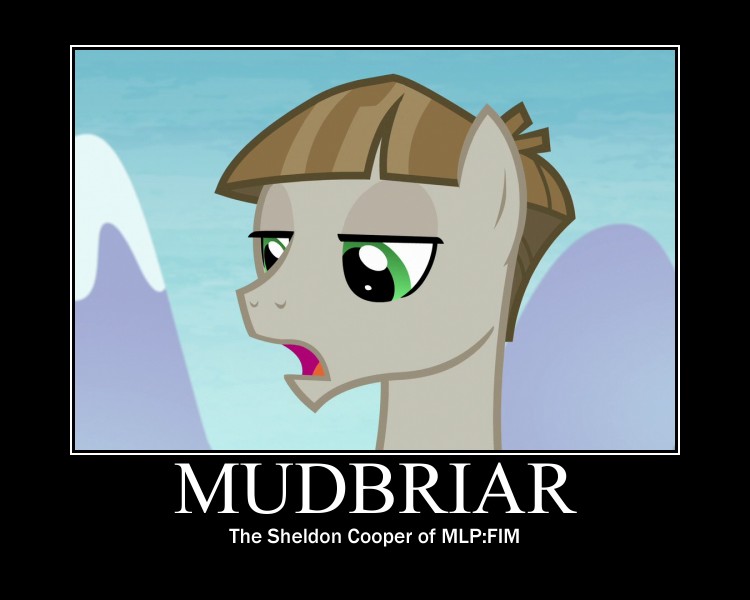 Size: 750x600 | Tagged: derpibooru import, edit, edited screencap, motivational poster, mudbriar, safe, screencap, sheldon cooper, solo, the big bang theory, the maud couple