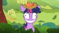 Size: 1280x720 | Tagged: bird, constance, crazy smile, derpibooru import, grin, insanity, lesson zero, nest, safe, screencap, smiling, solo, songbird, twilight snapple, twilight sparkle, unhinged