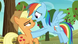 Size: 1280x720 | Tagged: safe, derpibooru import, screencap, applejack, rainbow dash, grannies gone wild, apple tree, tree