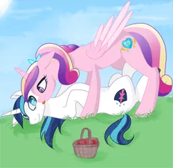 Size: 1748x1695 | Tagged: safe, artist:lisa400, derpibooru import, princess cadance, shining armor, alicorn, unicorn, basket, cute, female, licking, looking at each other, lying down, male, married couple, picnic basket, shiningcadance, shipping, straight, tongue out