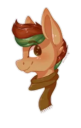 Size: 767x1200 | Tagged: safe, artist:person8149, derpibooru import, oc, oc:oak leaf, earth pony, pony, bust, clothes, male, portrait, scarf, simple background, solo, stallion, transparent background