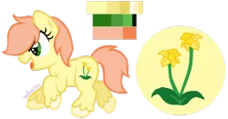 Size: 900x470 | Tagged: safe, artist:zafara1222, derpibooru import, oc, oc:daffodil, unofficial characters only, earth pony, pony, base used, female, filly, offspring, parent:big macintosh, parent:fluttershy, parents:fluttermac, reference sheet, simple background, solo, transparent background, unshorn fetlocks