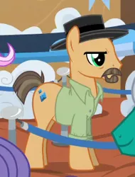 Size: 235x309 | Tagged: safe, derpibooru import, screencap, heisenbuck, ponified, earth pony, pony, grannies gone wild, background pony, beard, breaking bad, clothes, cropped, facial hair, frown, glare, hat, heisenberg, male, moustache, reference, shirt, smiling, solo focus, stallion, walter white