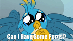 Size: 922x516 | Tagged: safe, derpibooru import, edit, edited screencap, screencap, gallus, gryphon, porg, school daze, :<, animated, cute, daaaaaaaaaaaw, discovery family logo, eye shimmer, floppy ears, frown, gallabetes, gif, hnnng, looking at you, male, puppy dog eyes, puppy-eyed gallus, sad, solo, spread wings, star wars, star wars: the last jedi, weapons-grade cute, wings