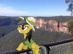 Size: 1024x765 | Tagged: safe, artist:didgereethebrony, derpibooru import, daring do, pony, australia, blue mountains, cliff, cliffs, fence, irl, lookout, mlp in australia, photo, ponies in real life, railing, solo, valley