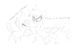 Size: 3321x2090 | Tagged: safe, artist:dragonpone, derpibooru import, gilda, limestone pie, earth pony, gryphon, pony, angry, bird noises, chest fluff, descriptive noise, duo, ear fluff, eye contact, female, fluffy, frown, glare, grayscale, horse noises, looking at each other, mare, monochrome, neigh, open mouth, pointy ponies, raised hoof, raised leg, simple background, sketch, squawk, traditional art, white background, yelling