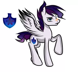 Size: 5899x5455 | Tagged: safe, artist:pinkgalaxy56, derpibooru import, oc, pegasus, pony, absurd resolution, male, simple background, solo, stallion, white background