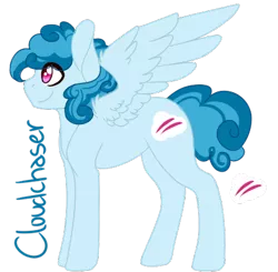 Size: 431x422 | Tagged: safe, artist:purecrazycreate, derpibooru import, oc, oc:cloudchaser, unofficial characters only, pegasus, pony, magical lesbian spawn, male, offspring, parent:pinkie pie, parent:rainbow dash, parents:pinkiedash, simple background, solo, stallion, transparent background