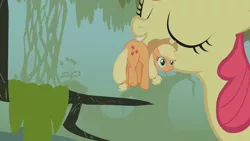 Size: 1280x720 | Tagged: safe, derpibooru import, screencap, apple bloom, applejack, pony, bridle gossip, animation error, appletini, detached head, duo, everfree forest, eyes closed, female, filly, mare, micro, moss, mouth hold, sisters, tree branch