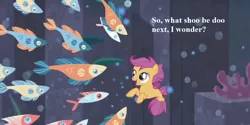 Size: 980x490 | Tagged: cropped, cute, cutealoo, derpibooru import, edit, edited screencap, female, filly, fish, pun, safe, school of fish, scootaloo, screencap, sea-mcs, seaponified, seapony (g4), seapony scootaloo, shoo be doo, species swap, surf and/or turf, text, underwater