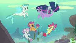 Size: 1920x1080 | Tagged: alicorn, apple bloom, cute, cutie mark crusaders, derpibooru import, discovery family logo, my little pony: the movie, safe, scootaloo, screencap, sea-mcs, seaponified, seapony apple bloom, seapony (g4), seapony scootaloo, seapony sweetie belle, seapony twilight, season 8, species swap, surf and/or turf, sweetie belle, terramar, twilight sparkle, twilight sparkle (alicorn), underwater