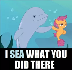 Size: 688x668 | Tagged: derpibooru import, edit, edited screencap, image macro, i see what you did there, meme, porpoise, pun, safe, scootaloo, screencap, sea-mcs, seaponified, seapony (g4), seapony scootaloo, species swap, surf and/or turf