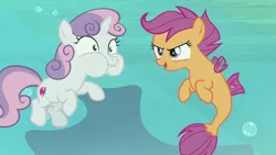 Size: 1920x1080 | Tagged: safe, derpibooru import, screencap, scootaloo, sweetie belle, pegasus, pony, seapony (g4), unicorn, surf and/or turf, bubble, duo, female, filly, holding breath, it makes sense in context, puffy cheeks, sea-mcs, seaponified, seapony scootaloo, species swap, underwater, your heart is in two places