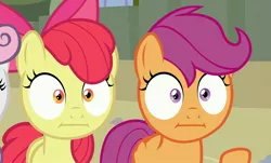 Size: 1784x1080 | Tagged: apple bloom, derpibooru import, edit, edited edit, edited screencap, face swap, :i, safe, scootaloo, screencap, surf and/or turf