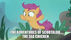 Size: 888x499 | Tagged: cute, cutealoo, derpibooru import, discovery family logo, edit, edited screencap, happy, meme, safe, scootachicken, scootaloo, screencap, sea-mcs, seaponified, seapony (g4), seapony scootaloo, solo, species swap, surf and/or turf, tunaloo