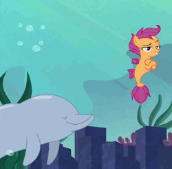 Size: 1038x1016 | Tagged: animated, cropped, derpibooru import, dolphin, duo, female, filly, high five, hoofbump, hoof on chest, porpoise, raised eyebrow, safe, scootaloo, screencap, sea-mcs, seaponified, seapony (g4), seapony scootaloo, smug, species swap, surf and/or turf, your heart is in two places