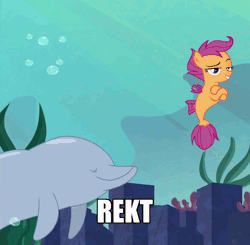 Size: 1038x1016 | Tagged: animated, bubble, cropped, derpibooru import, dolphin, duo, edit, edited screencap, female, filly, grin, high five, hoofbump, hoof on chest, image macro, lidded eyes, meme, porpoise, raised eyebrow, reaction image, rekt, safe, scootaloo, screencap, sea-mcs, seaponified, seapony (g4), seapony scootaloo, smiling, smirk, smug, species swap, surf and/or turf, your heart is in two places