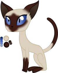 Size: 1314x1648 | Tagged: artist:sweethearttarot, cat, derpibooru import, kitten, oc, oc:ghost, reference sheet, safe, siamese cat, simple background, solo, transparent background, unofficial characters only