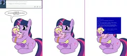 Size: 1808x800 | Tagged: safe, artist:dekomaru, derpibooru import, princess skyla, twilight sparkle, pony, unicorn, tumblr:ask twixie, ask, auntie twilight, blue screen of death, boop, comic, female, filly, foal, mare, simple background, tumblr, unicorn twilight, white background