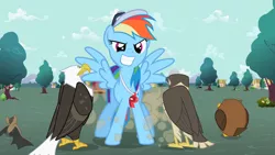 Size: 1280x720 | Tagged: safe, derpibooru import, screencap, rainbow dash, bald eagle, bat, eagle, falcon, owl, pegasus, pony, may the best pet win, animal, baseball cap, bird of prey, cap, coach rainbow dash, female, hat, mare, peregrine falcon, spread wings, whistle, whistle necklace, wings