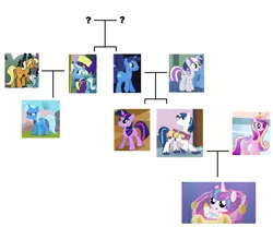 Size: 2360x1968 | Tagged: artist:3d4d, derpibooru import, family, family tree, female, grannies gone wild, headcanon, idw, jack pot, jacktacle, male, night light, nightvelvet, princess cadance, princess flurry heart, safe, shining armor, shiningcadance, shipping, spoiler:comic, spoiler:comic40, straight, sunflower spectacle, theory, trixie, twilight sparkle, twilight velvet