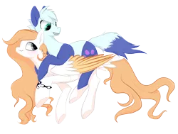 Size: 4100x3100 | Tagged: safe, artist:hirundoarvensis, derpibooru import, oc, oc:arvensis, oc:pandy, ponified, unofficial characters only, panda pony, pegasus, pony, female, mare, ponies riding ponies, simple background, transparent background
