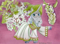 Size: 3472x2585 | Tagged: safe, artist:kelseyleah, derpibooru import, star swirl the bearded, pony, clothes, flower, high res, solo, traditional art, walnut blossom