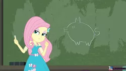 Size: 1280x720 | Tagged: safe, artist:wolf, derpibooru import, fluttershy, pig, a little birdie told me, equestria girls, equestria girls series, chalkboard, chalkboard meme, el chavo del 8, geode of fauna, magical geodes, meme