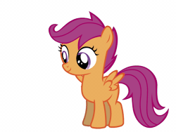 Size: 1024x768 | Tagged: safe, artist:bubbly-storm, derpibooru import, scootaloo, pegasus, pony, animated, blank flank, cute, cutealoo, female, filly, gif, simple background, solo, spread wings, white background, wing flap, wings