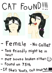 Size: 720x1008 | Tagged: safe, artist:scraggleman, derpibooru import, oc, oc:floor bored, ponified, unofficial characters only, earth pony, pony, angry, bags under eyes, behaving like a cat, behaving like a possum, chest fluff, female, hissing, implied anon, implied estrus, lip bite, mare, messy mane, open mouth, poster, scrunchie, shrunken pupils, solo, text