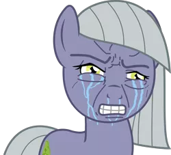 Size: 3666x3328 | Tagged: artist needed, safe, derpibooru import, limestone pie, ponified, pony, crying, faic, gritted teeth, high res, meme, reaction image, simple background, teeth grinding, transparent background, vector, wojak