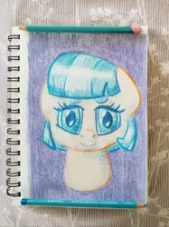 Size: 2600x3467 | Tagged: safe, artist:shoeunit, derpibooru import, coco pommel, earth pony, pony, bust, colored pencil drawing, female, mare, portrait, sketchbook, solo, traditional art