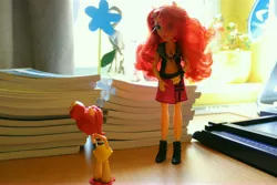 Size: 6000x4000 | Tagged: safe, artist:artofmagicpoland, derpibooru import, sunset shimmer, equestria girls, equestria girls series, doll, duality, equestria girls minis, eqventures of the minis, reboot series, toy