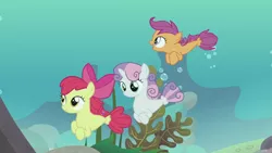Size: 1280x720 | Tagged: apple bloom, cutie mark crusaders, derpibooru import, female, filly, safe, scootaloo, screencap, sea-mcs, seaponified, seapony apple bloom, seapony (g4), seapony scootaloo, seapony sweetie belle, species swap, surf and/or turf, sweetie belle, swimming, trio, underwater