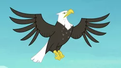 Size: 1280x720 | Tagged: animal, bald eagle, bird, derpibooru import, eagle, flying, safe, screencap, solo, spread wings, star spangled banner, surf and/or turf, wings, your heart is in two places