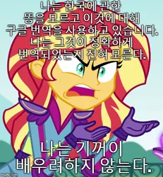 Size: 500x540 | Tagged: safe, derpibooru import, edit, edited screencap, screencap, sunset shimmer, equestria girls, friendship games, cropped, exploitable meme, image macro, korean, meme, solo, sunset is not willing to learn