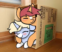 Size: 540x451 | Tagged: safe, artist:nootaz, derpibooru import, oc, oc:game guard, oc:nootaz, pony, box, cute, duo, gametaz, irl, nootabetes, photo, ponies in real life, pony in a box, snuggling