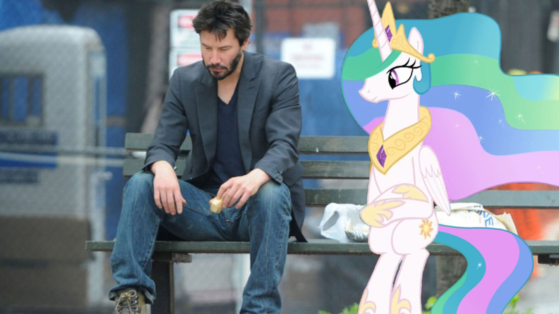 Size: 823x463 | Tagged: safe, derpibooru import, edit, princess celestia, human, pony, horse play, bench, city, edited photo, exploitable meme, irl, keanu reeves, meme, meta, old meme, park, photo, ponies in real life, sad keanu, sitlestia, sitting, twitter