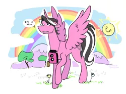 Size: 1022x760 | Tagged: safe, artist:egophiliac, derpibooru import, ponified, alicorn, pony, alicornified, dialogue, kamen rider, kamen rider decade, male, music notes, race swap, rainbow, raised hoof, signature, skunk stripe, speech bubble, spread wings, stallion, sun, tsukasa kadoya, wings