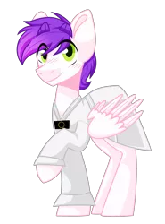 Size: 2513x3404 | Tagged: safe, artist:dollmaker47, derpibooru import, oc, oc:loyal musics, pegasus, pony, clothes, hanbok, high res, male, simple background, solo, stallion, transparent background